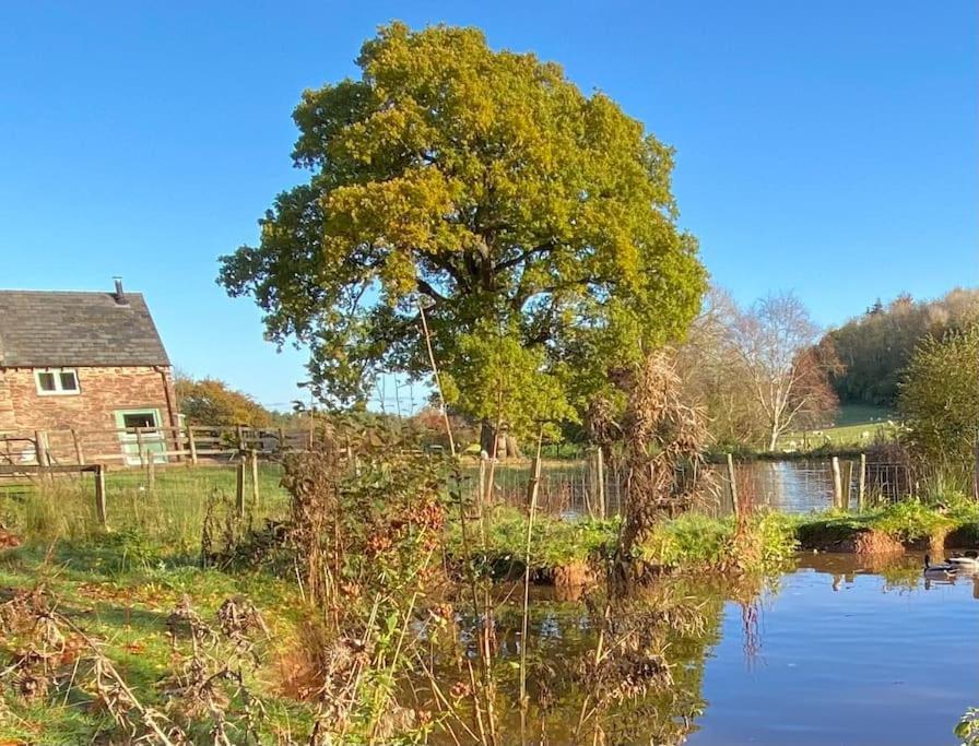 Oaklands Cottage On A Rural Farm Dingestow Luaran gambar